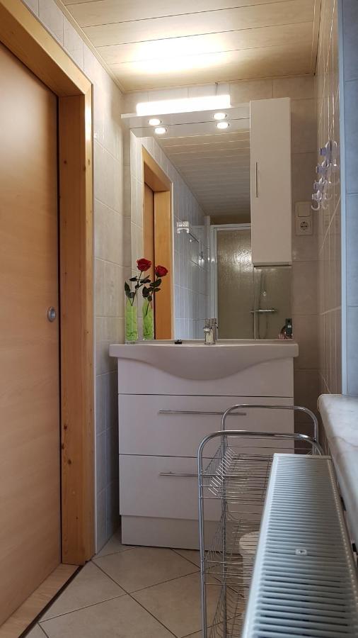 Ferienwohnung Berndt Oberweißbach المظهر الخارجي الصورة
