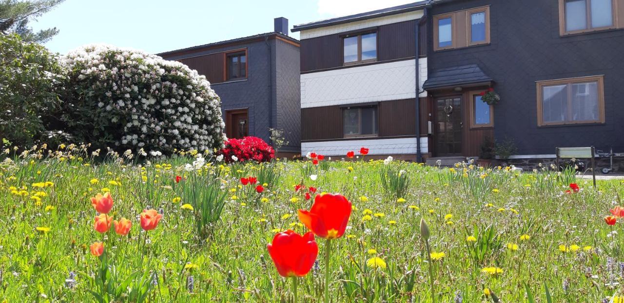 Ferienwohnung Berndt Oberweißbach المظهر الخارجي الصورة