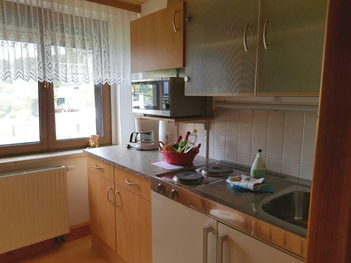 Ferienwohnung Berndt Oberweißbach المظهر الخارجي الصورة
