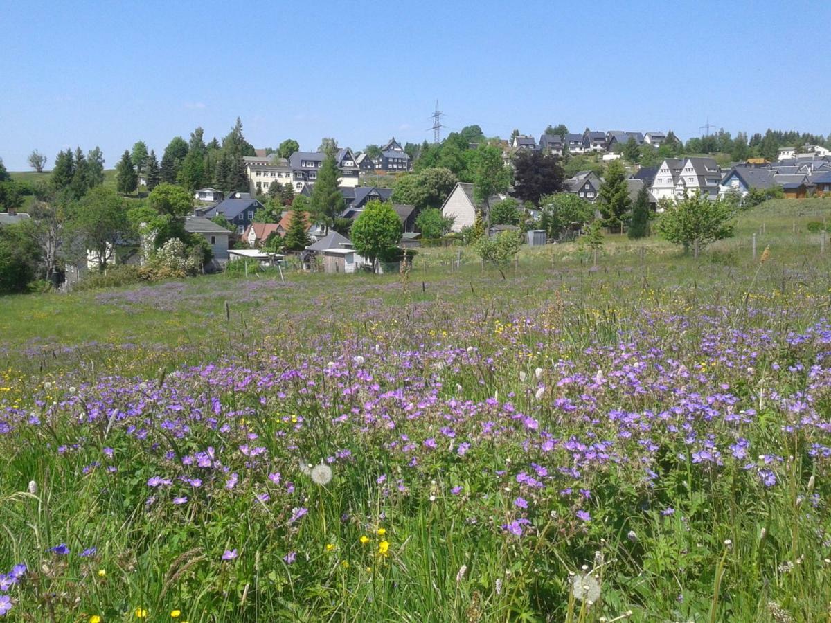Ferienwohnung Berndt Oberweißbach المظهر الخارجي الصورة